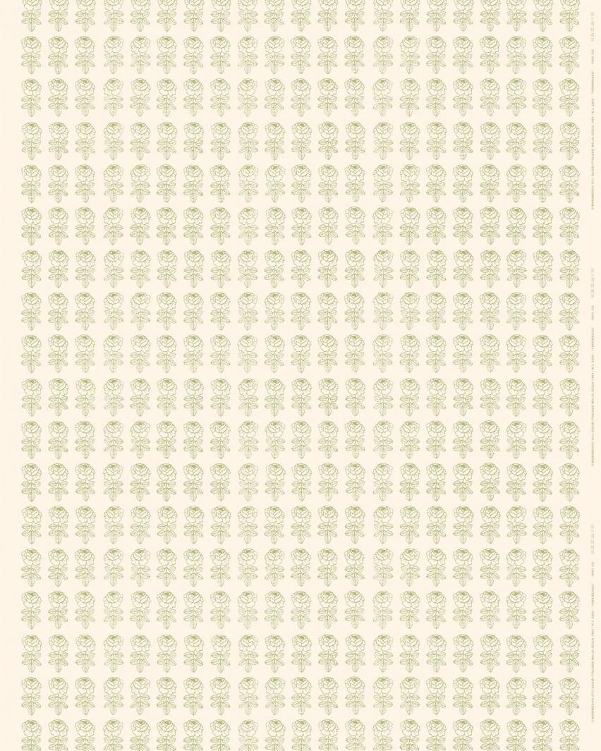 コットン×ペアー