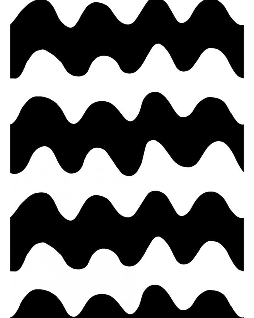 ホワイト×ブラック